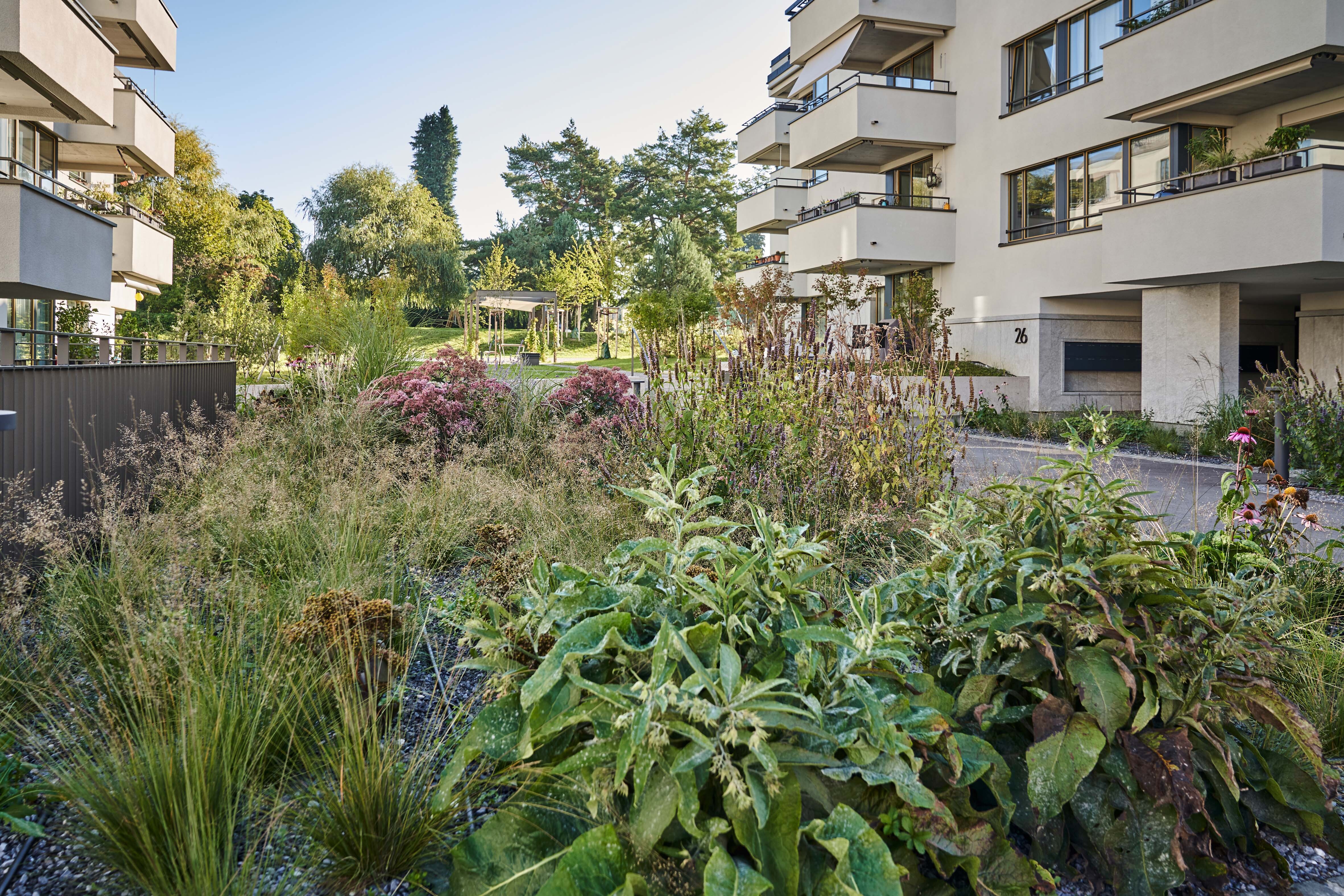 BHW_Foto-02_Saskja-Rosset-Zürich