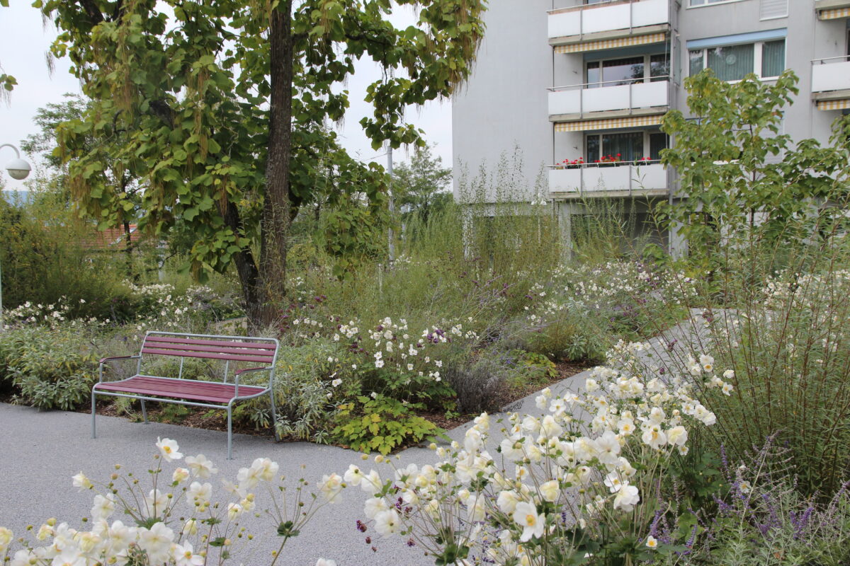 Freiraumgestaltung Siedlung Frankental