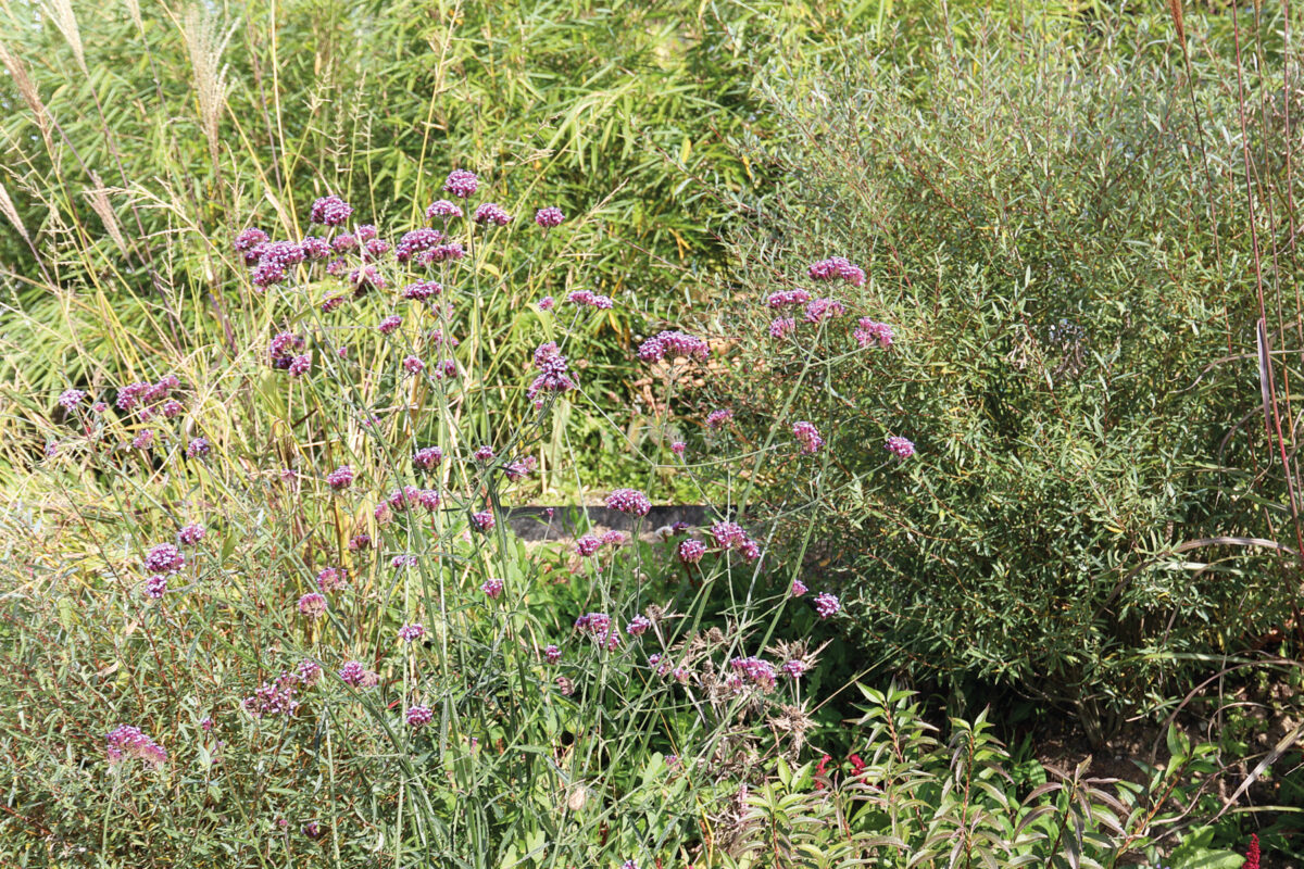 Gartengestaltung Obere Bläsistrasse