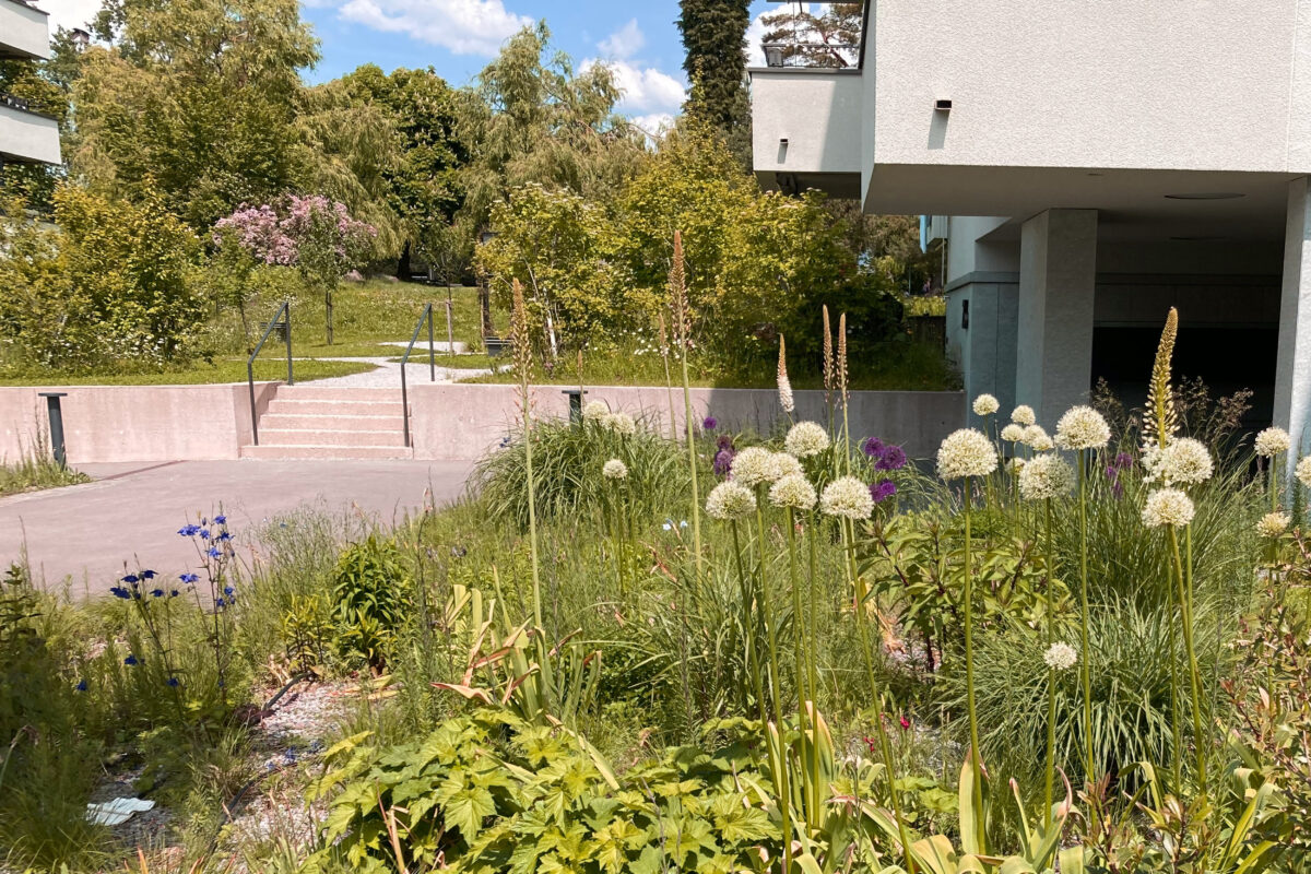 Freiraumgestaltung Wohnüberbauung Siedlung Brüderhofweg