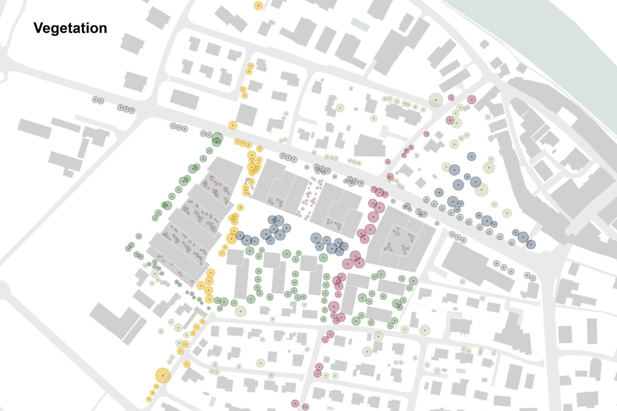 Studienauftrag Freiraumgestaltung Zentrumszone Birrfeldstrasse