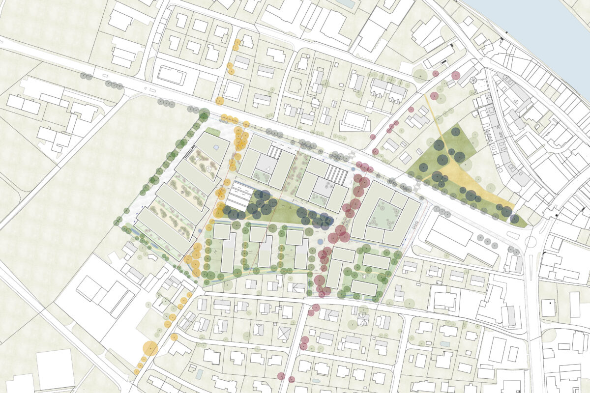 Studienauftrag Freiraumgestaltung Zentrumszone Birrfeldstrasse